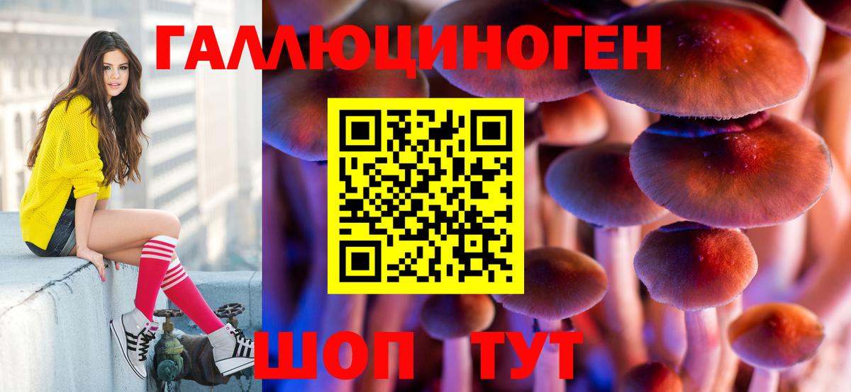 Ростов-на-Дону  Галлюциногенные грибы мухоморы  Вход с VPN 