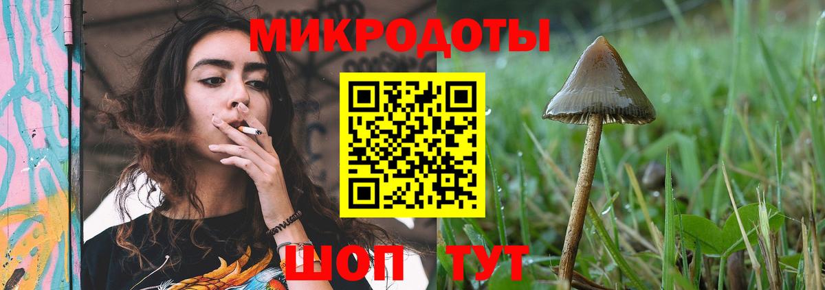 Псилоцибиновые грибы мухоморы Ростов-на-Дону
